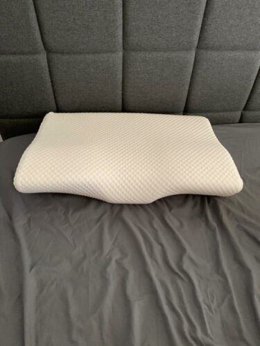 71VjsaxLSeL. SL1000 1